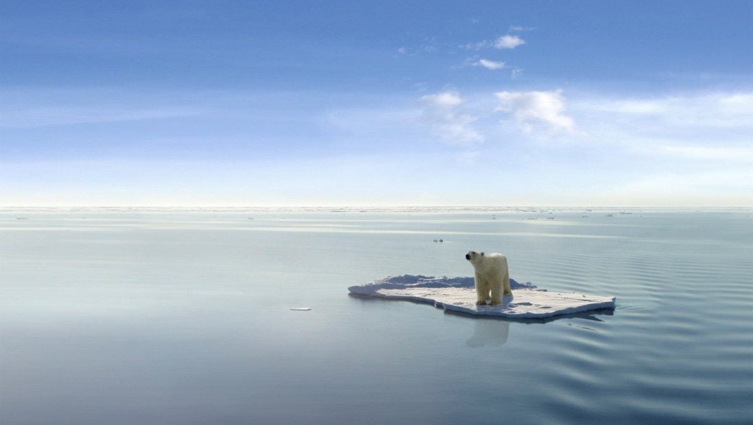 global warming